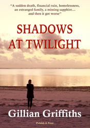 Shadows at Twilight by Gillian Griffiths